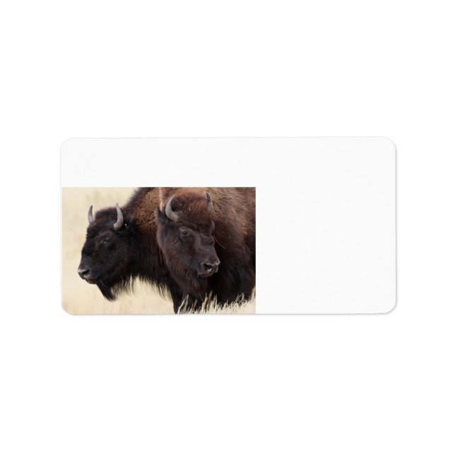 bison friendship label (Front)
