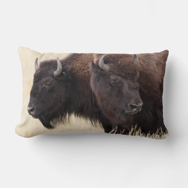 bison friendship lumbar cushion (Front)