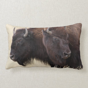 bison friendship lumbar cushion