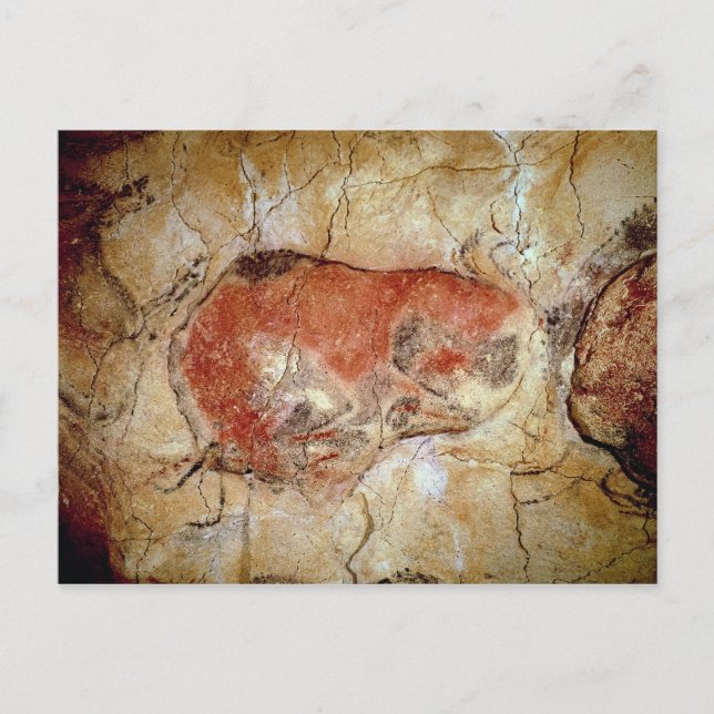 Bison from the Altamira Caves Postcard (Front)