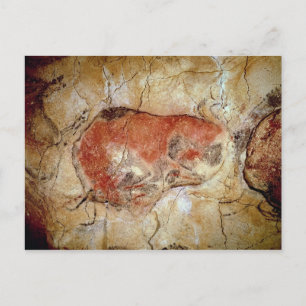 Bison from the Altamira Caves Postcard