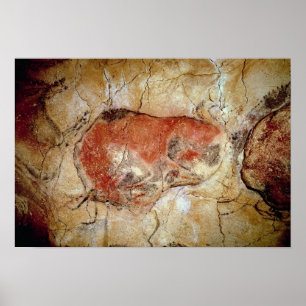 Bison from the Altamira Caves Poster