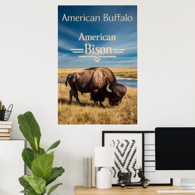 Bison Grazing by the River Poster (Home Office)