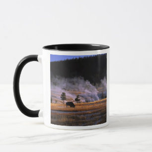 Bison grazing in the Upper Geyser Basin Mug