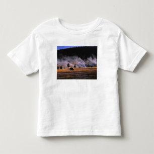 Bison grazing in the Upper Geyser Basin Toddler T-Shirt