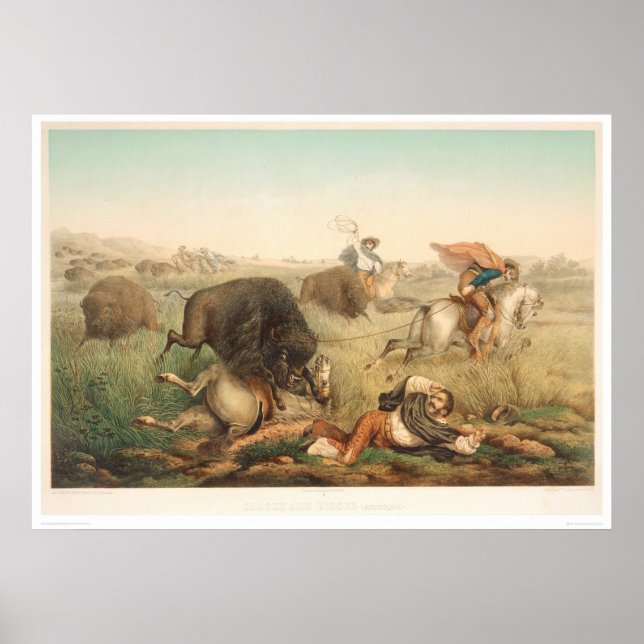 Bison Hunt (0008A) Poster (Front)