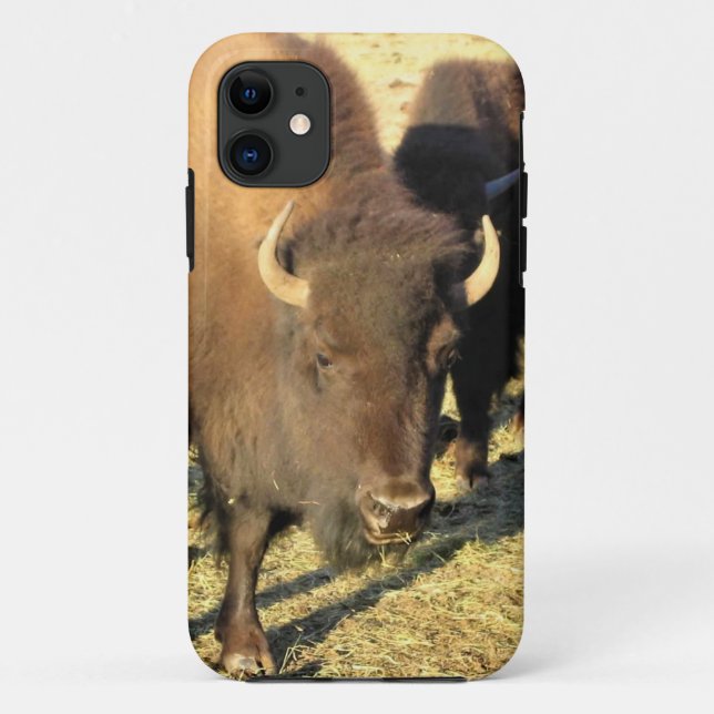 Bison in Colorado Case-Mate iPhone Case (Back)
