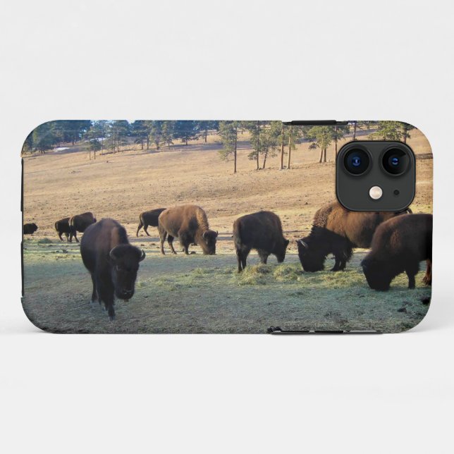 Bison in Colorado Case-Mate iPhone Case (Back (Horizontal))