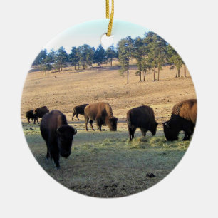 Bison in Colorado Ceramic Ornament
