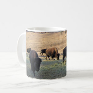 Bison in Colorado Coffee Mug