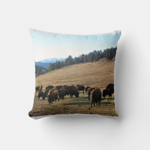 Bison in Colorado Cushion