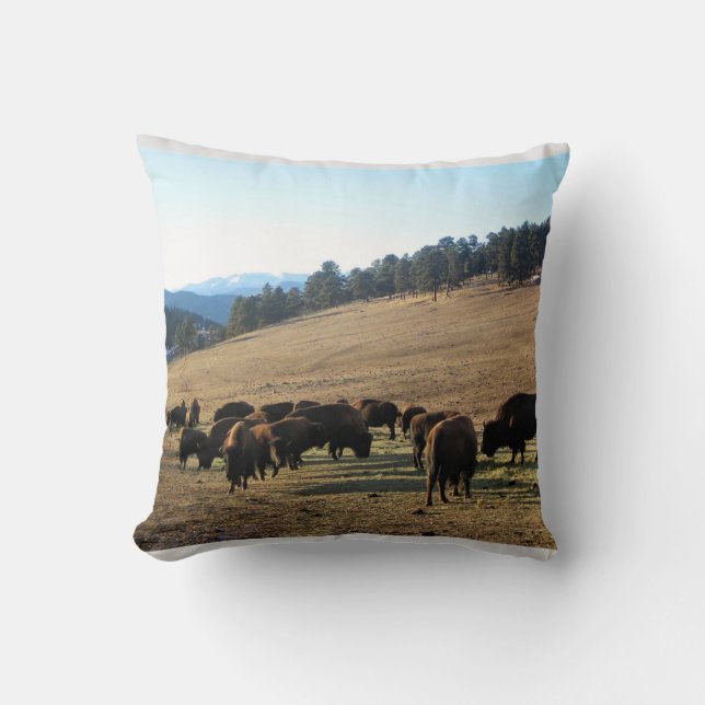 Bison in Colorado Cushion (Front)