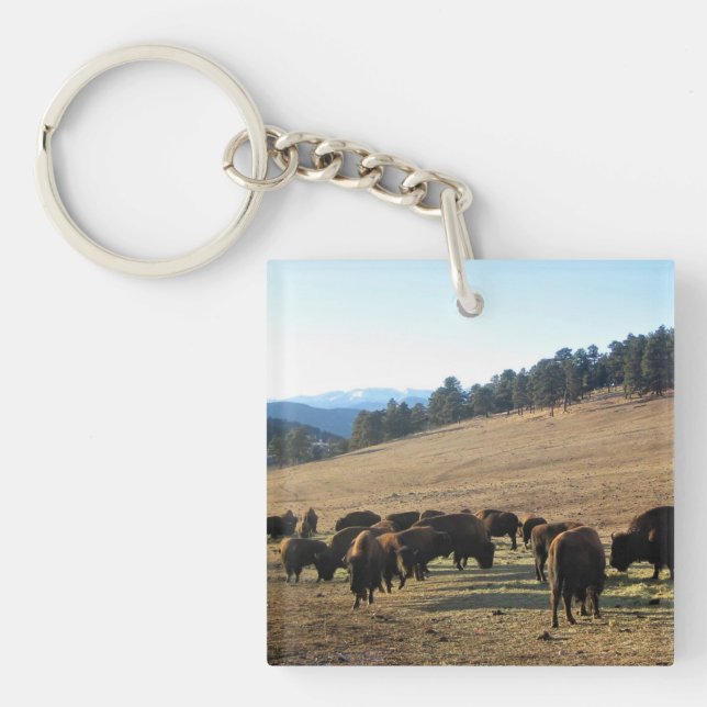 Bison in Colorado Key Ring (Front)