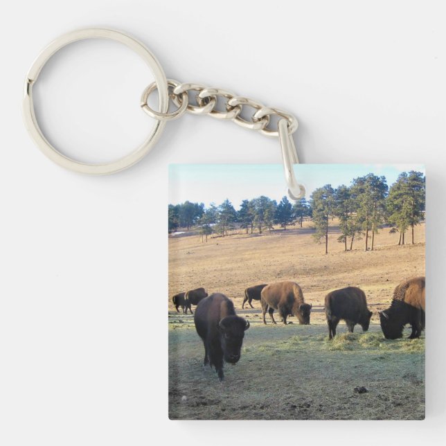 Bison in Colorado Key Ring (Front)