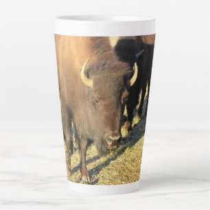 Bison in Colorado Latte Mug