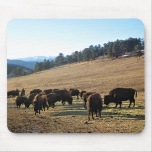 Bison in Colorado Mouse Pad