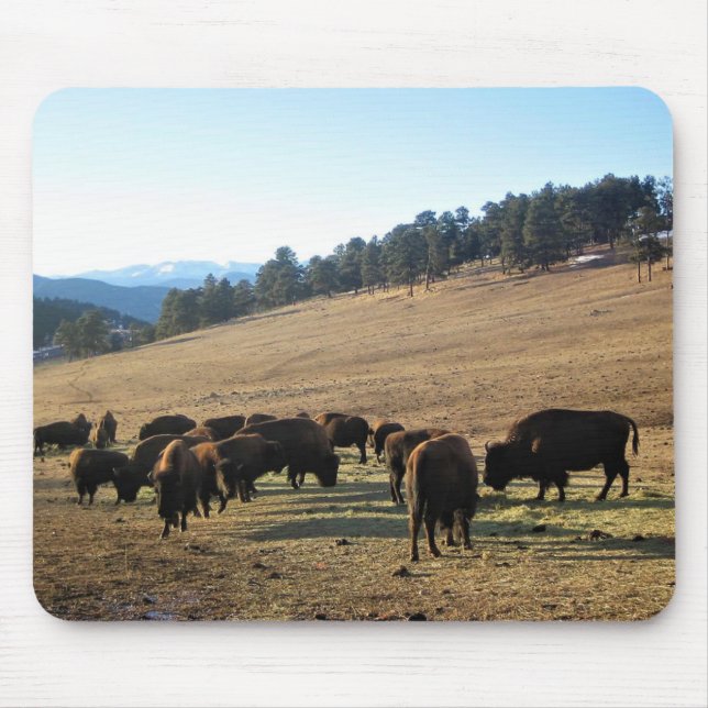 Bison in Colorado Mouse Pad (Front)