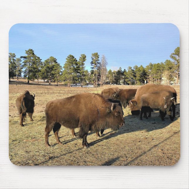 Bison in Colorado Mouse Pad (Front)