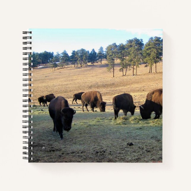 Bison in Colorado Notebook (Front)