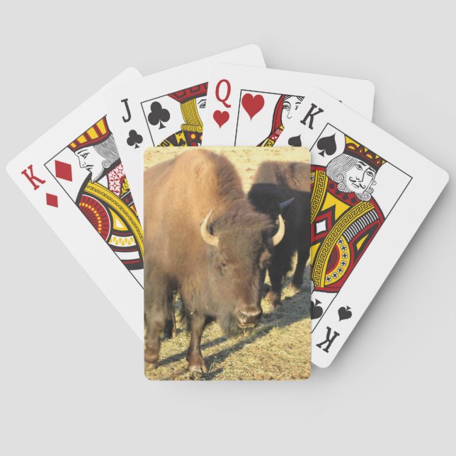 Bison in Colorado Playing Cards (Back)