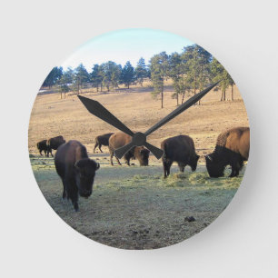 Bison in Colorado Round Clock