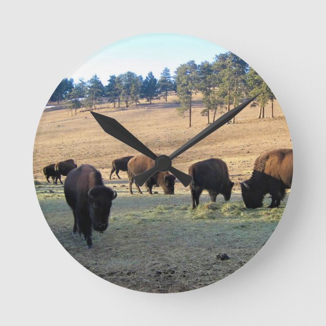 Bison in Colorado Round Clock (Front)