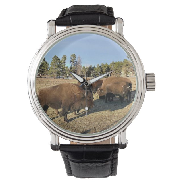 Bison in Colorado Watch (Front)