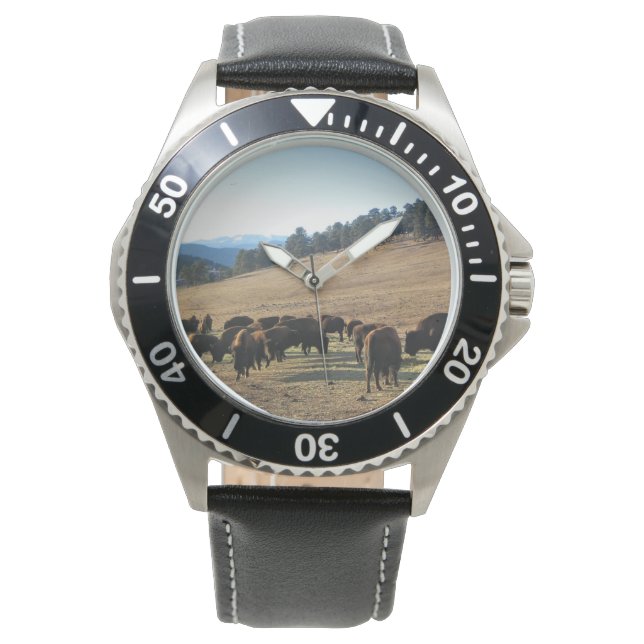 Bison in Colorado Watch (Front)