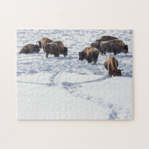 Bison in Snow Jigsaw Puzzle