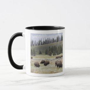 Bison in the Hayden Valley of Yellowstone Mug