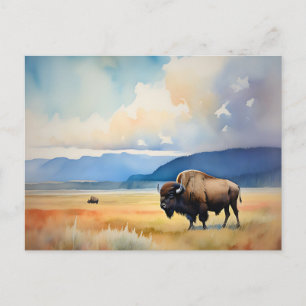 Bison in the Meadow Postcard