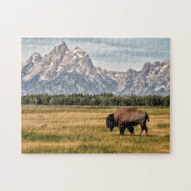 Bison in the Tetons Jigsaw Puzzle (Horizontal)