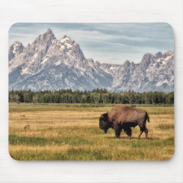 Bison in the Tetons Mouse Pad (Front)