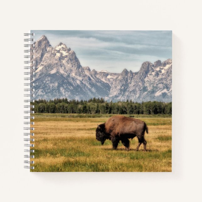 Bison in the Tetons Notebook (Front)