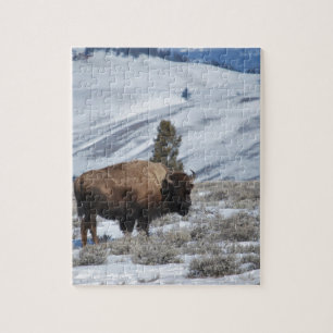 Bison in the Winter Mountains of Yellowstone Jigsaw Puzzle