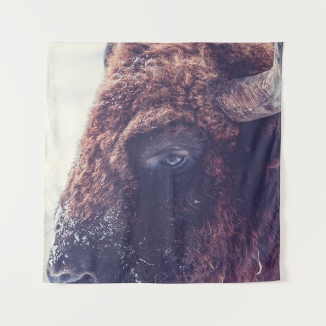 BISON IN THE WINTER TAPESTRY (Front)