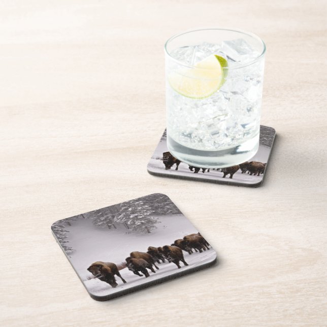 Bison in Winter Coaster (Right Side)