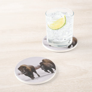Bison in Winter Coaster