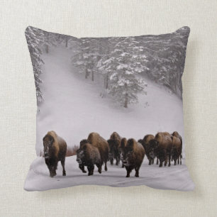Bison in Winter Cushion