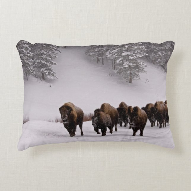 Bison in Winter Decorative Cushion (Front)