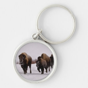 Bison in Winter Key Ring