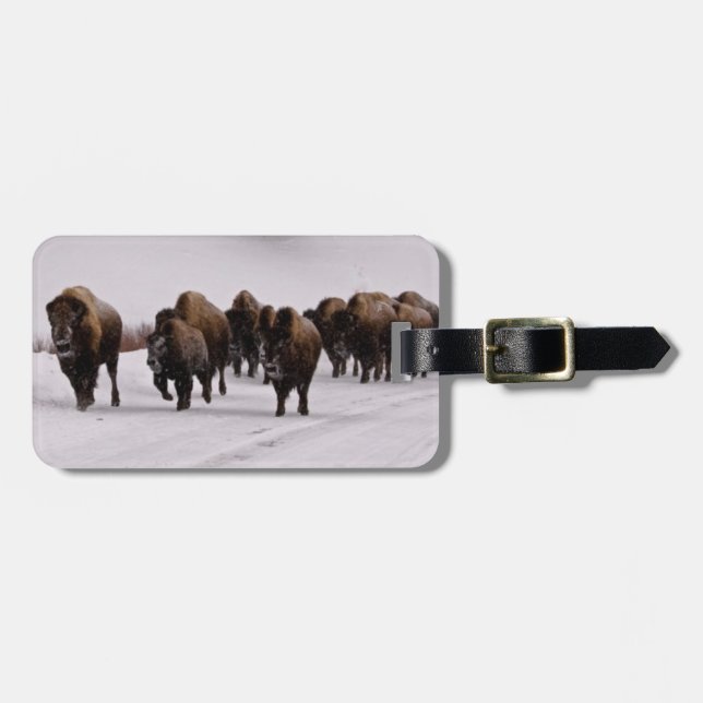 Bison in Winter Luggage Tag (Front Horizontal)