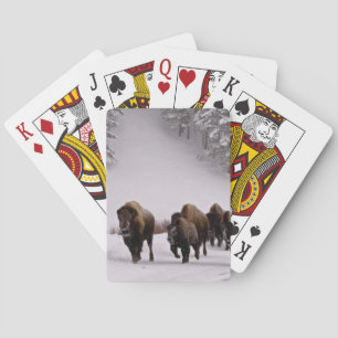 Bison in Winter Playing Cards