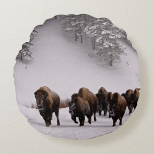 Bison in Winter Round Cushion