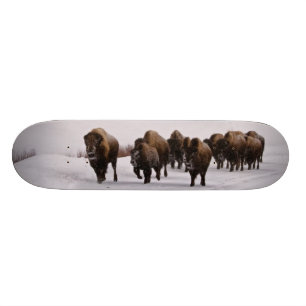 Bison in Winter Skateboard