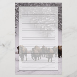 Bison in Winter Stationery