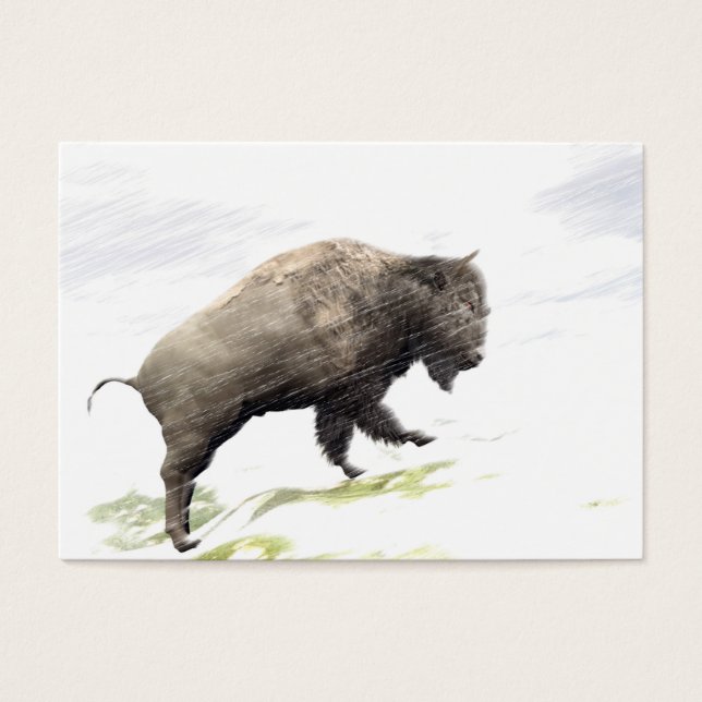 Bison in winter storm (Front)