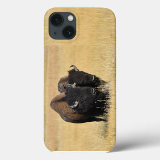 Bison in Yellowstone National Park  iPhone 13 Case