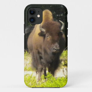 Bison iPhone 5 case