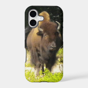 Bison iPhone 5 case